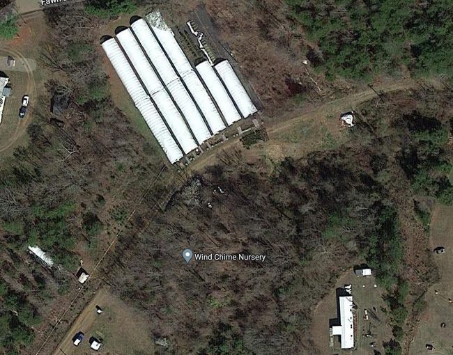 Wind Chime Nursery in the Winston Salem NC area sells trees, shrubs and plants and provides free landscaping advice to help you arrange your new plants so that they will make your landscaping project beautiful.
