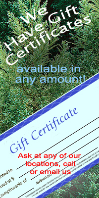 NEW at Wind Chime Nursery - Gift Certificates in any Amount
