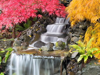 We build landscaped ponds and waterfalls.