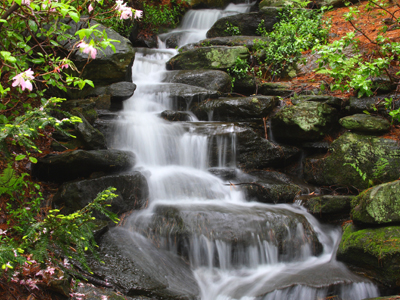 We build landscaped ponds and waterfalls.