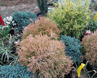Wind Chime Nursery - Photo Gallery of Hardscapes, Landscaping & Our Nursery