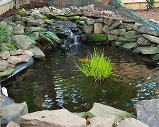 Wind Chime Nursery - Photo Gallery of Hardscapes, Landscaping & Our Nursery