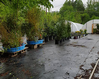Wind Chime Nursery - Photo Gallery of Hardscapes, Landscaping & Our Nursery