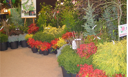 Wind Chime Nursery in the Winston Salem NC area sells trees and shrubs and provides free landscaping advice to help you arrange your new plants so that they will make your landscaping project beautiful.