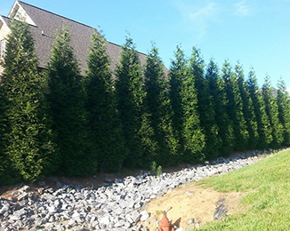Wind Chime Nursery - Photo Gallery of Hardscapes, Landscaping & Our Nursery