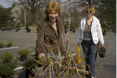 Pat Weber, left, and Margaret Bassani, both of Statesville, NC, browsed the Wind Chime Nursery vendor at the new Hanes Mall farmer's market in Winston-Salem, NC, Mon., Mar. 14, 2011.
